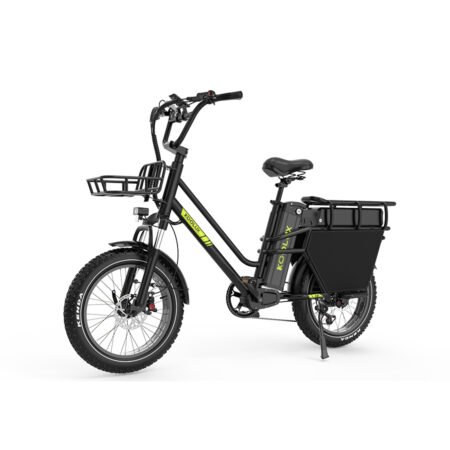 KOOLUX X8 48V 65Ah Cargo E-Bike