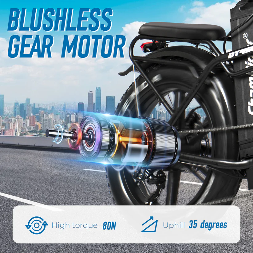 ChamRider DT450 Dual Battery - Image 5