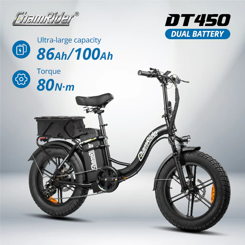 ChamRider DT450 Dual Battery