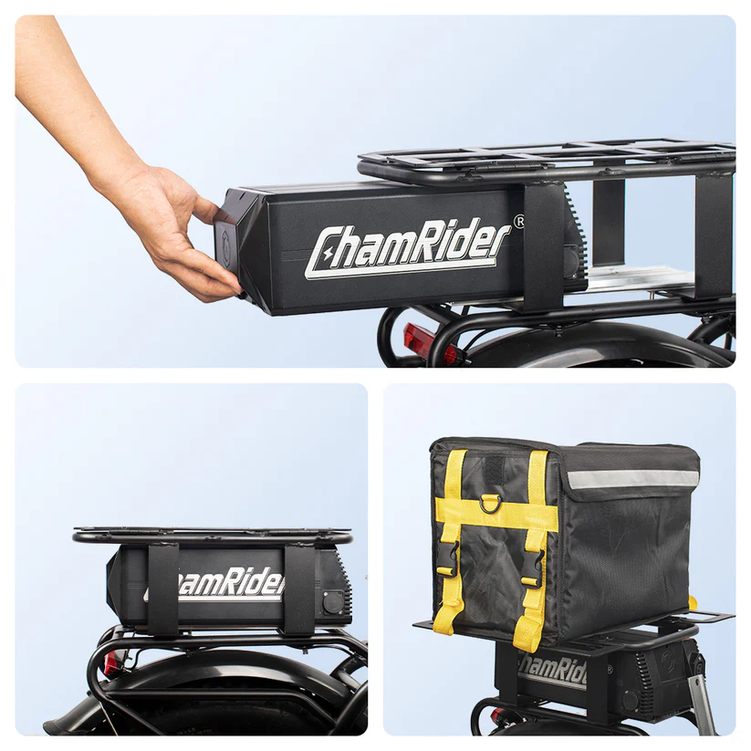 ChamRider DT450 Dual Battery - Image 6