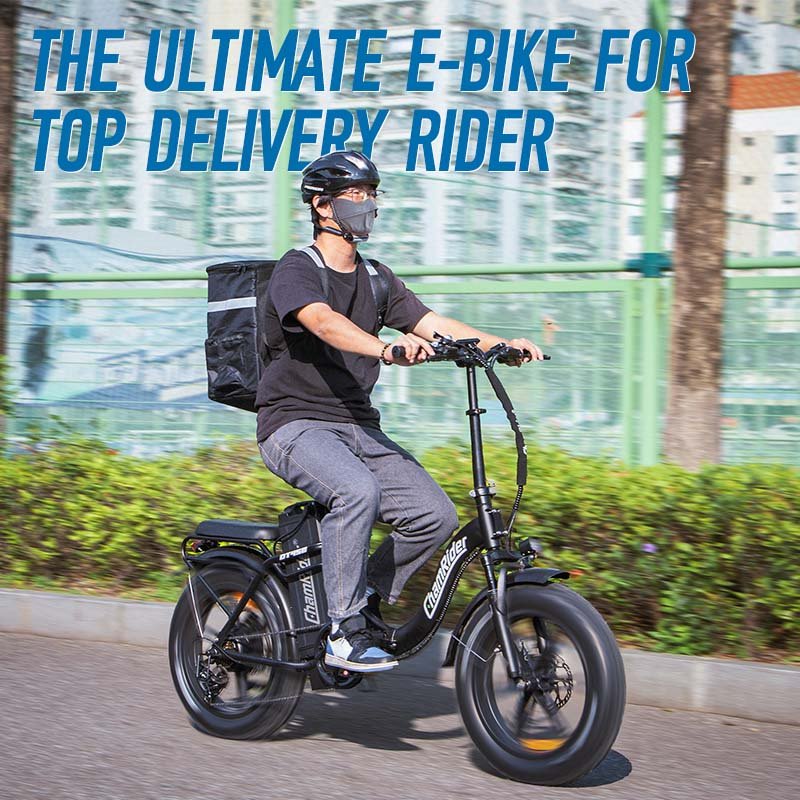 ChamRider DT450 Ebike - Image 7