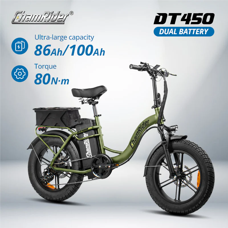 ChamRider DT450 Dual Battery - Image 3