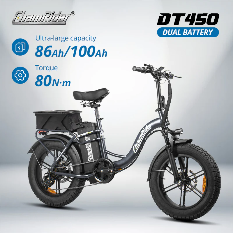 ChamRider DT450 Dual Battery - Image 4