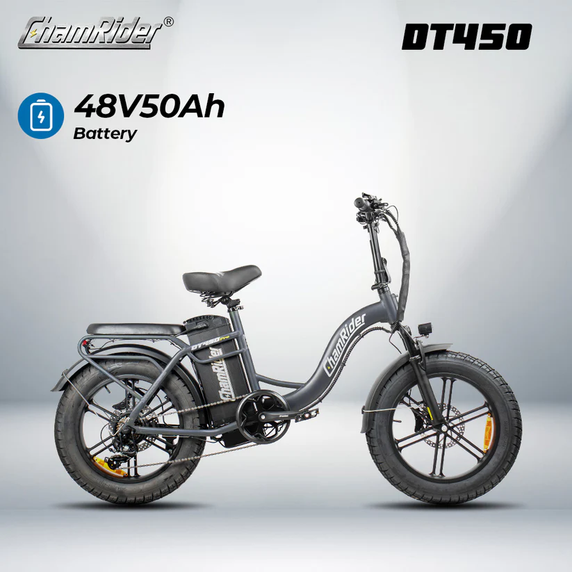ChamRider DT450 Ebike - Image 4